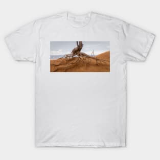 Walking Tree - Bryce Canyon - Utah T-Shirt